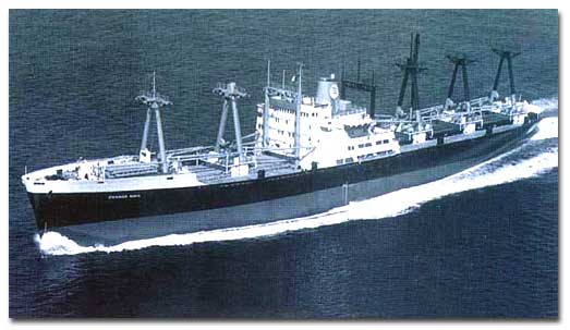 C3/C4 Dry Cargo Ship