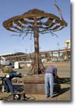 "Arbor Urbanus Metallicus" was designed by local artist Jim Frost and was constructed by students in NASSCO's steel training program at the shipyard.