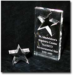 The Environmental Star Award