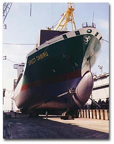 Repair of the Jabiru